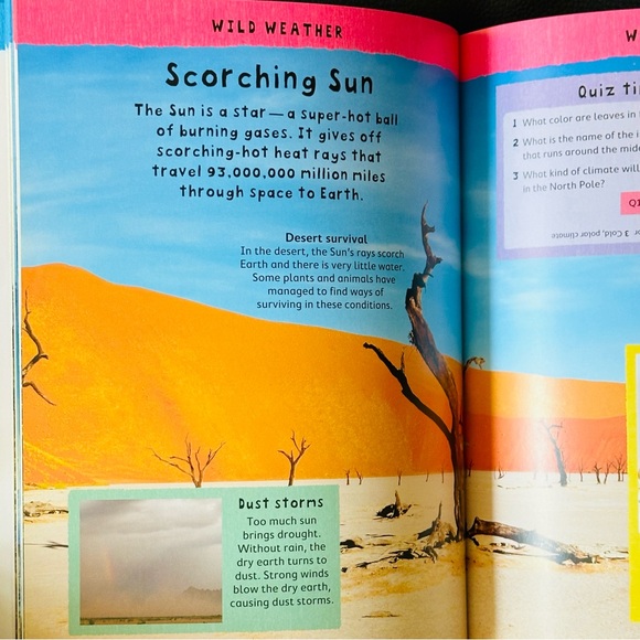 Miles Kelly Junior Encyclopedia - Picture 6 of 12